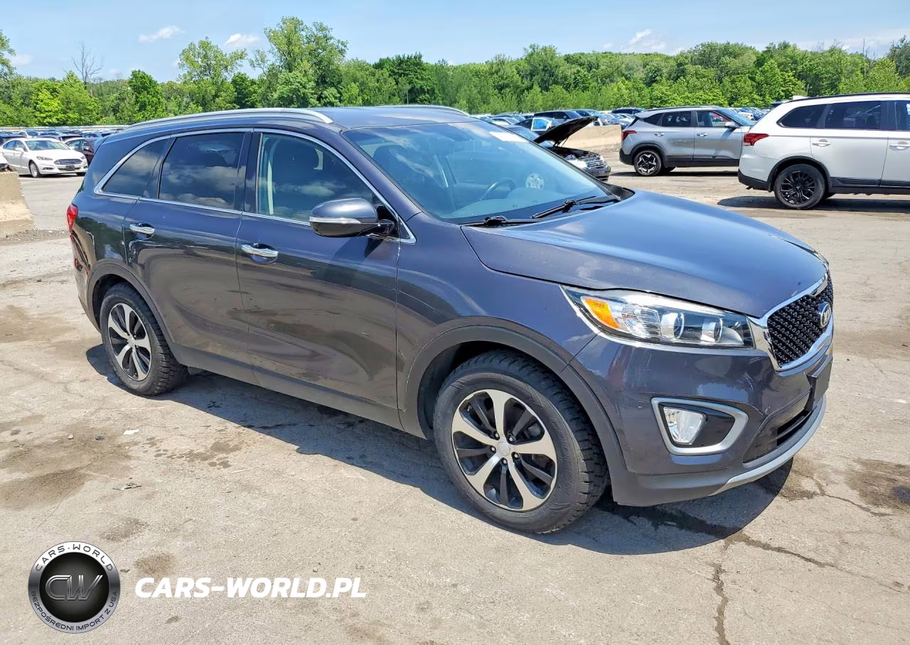 2016 Kia Sorento Ex V6 VIN:5XYPH4A50GG050572 - 4