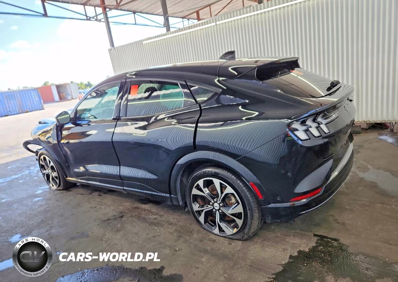2023 Ford Mustang Mach-E Premium VIN:3FMTK3SU3PMA70300 - 2