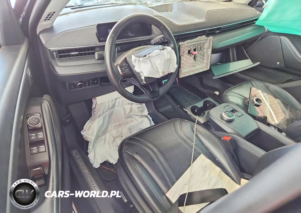 2023 Ford Mustang Mach-E Premium VIN:3FMTK3SU3PMA70300 - 8