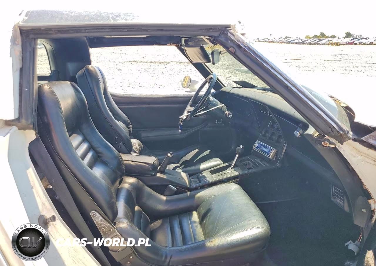 1981 Chevrolet Corvette VIN:1G1AY8760BS416278 - 10