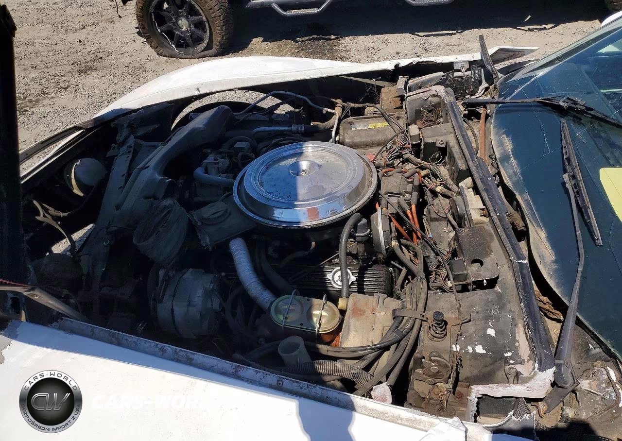 1981 Chevrolet Corvette VIN:1G1AY8760BS416278 - 11