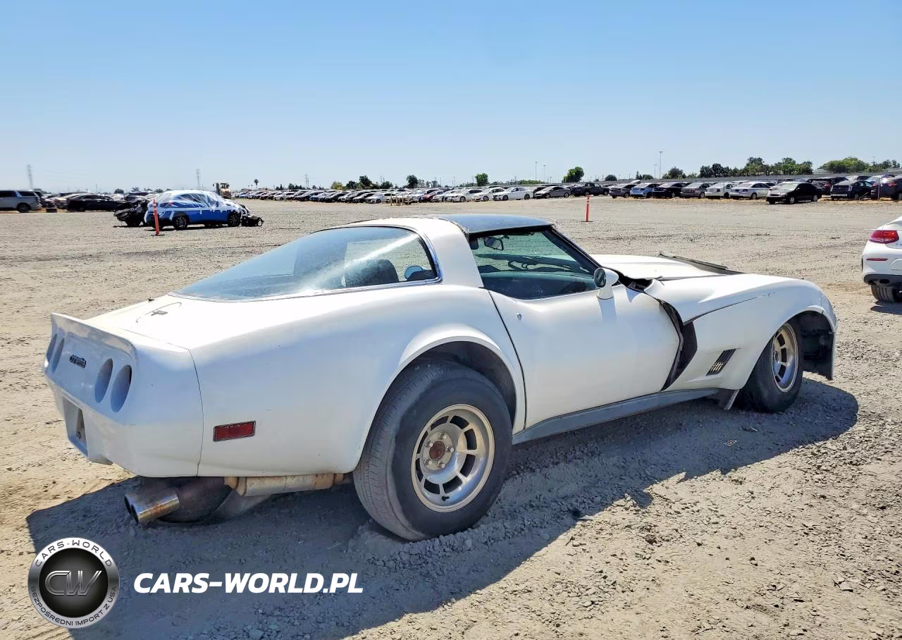 1981 Chevrolet Corvette VIN:1G1AY8760BS416278 - 3