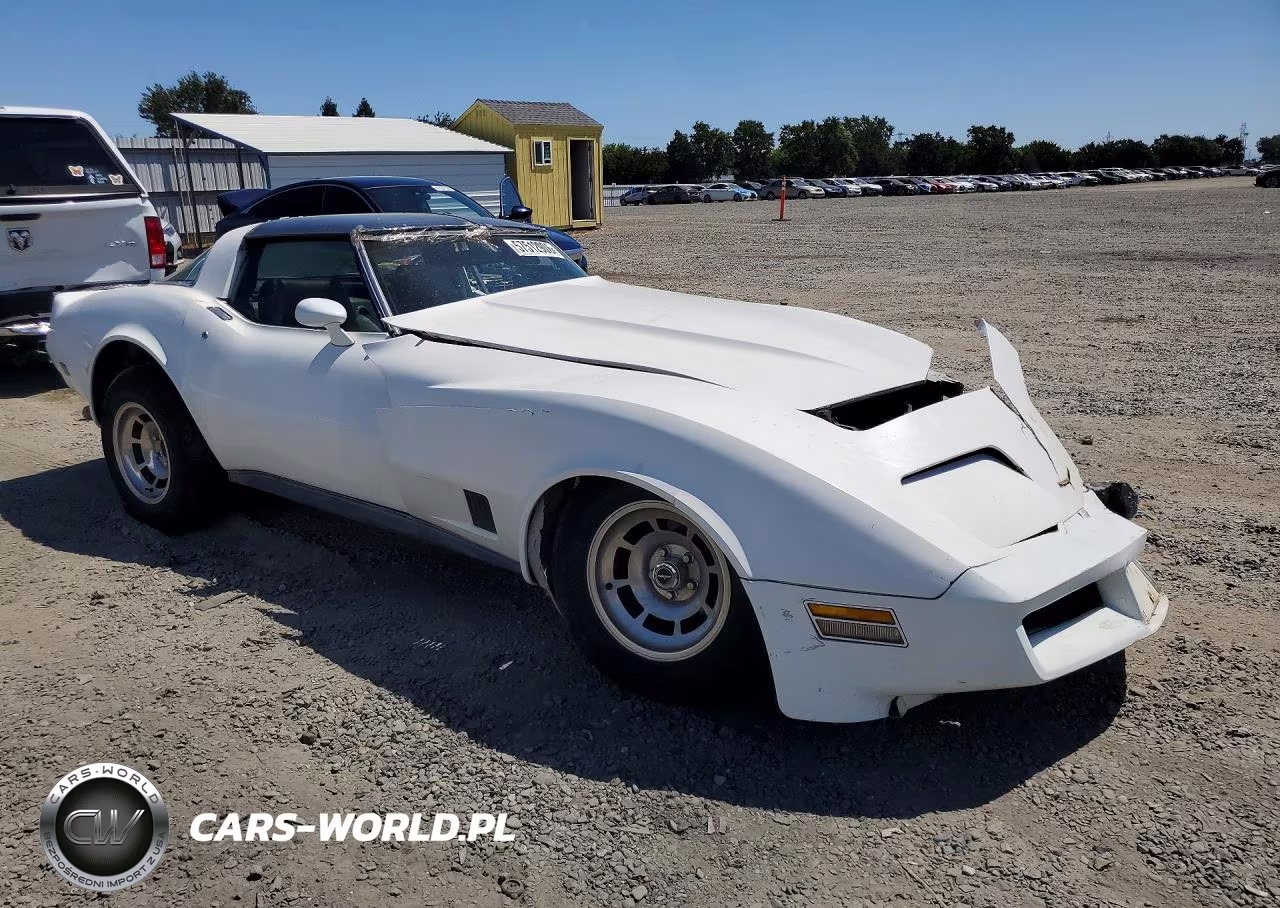 1981 Chevrolet Corvette VIN:1G1AY8760BS416278 - 4