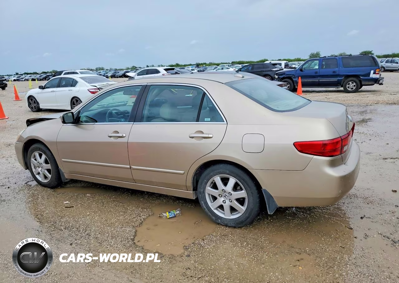 2005 Honda Accord Ex VIN:1HGCM66565A068796 - 2