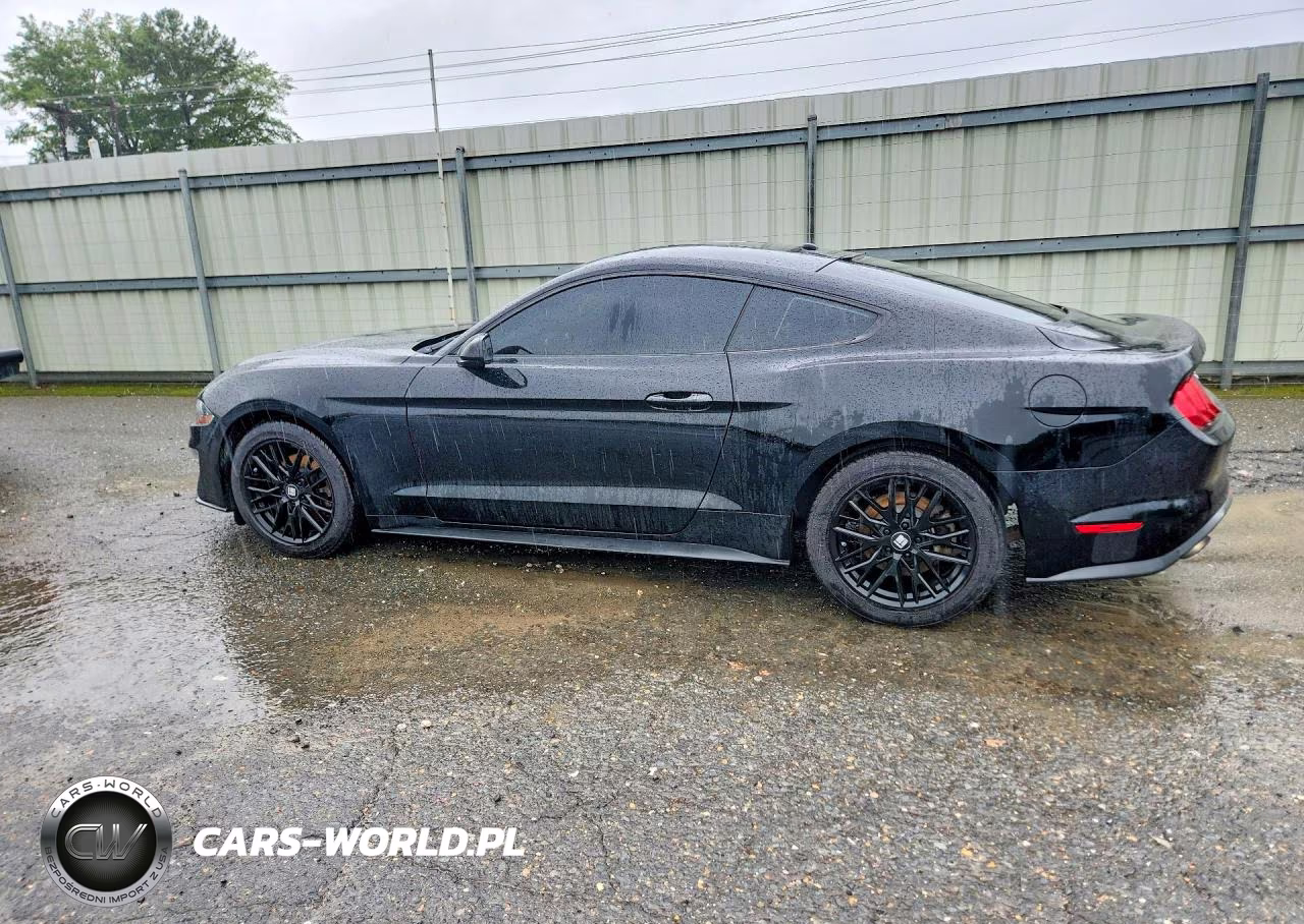 2019 Ford Mustang VIN:1FA6P8TH5K5117882 - 2