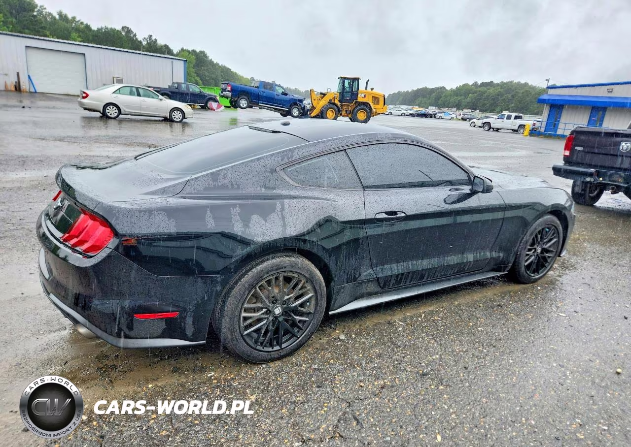 2019 Ford Mustang VIN:1FA6P8TH5K5117882 - 3