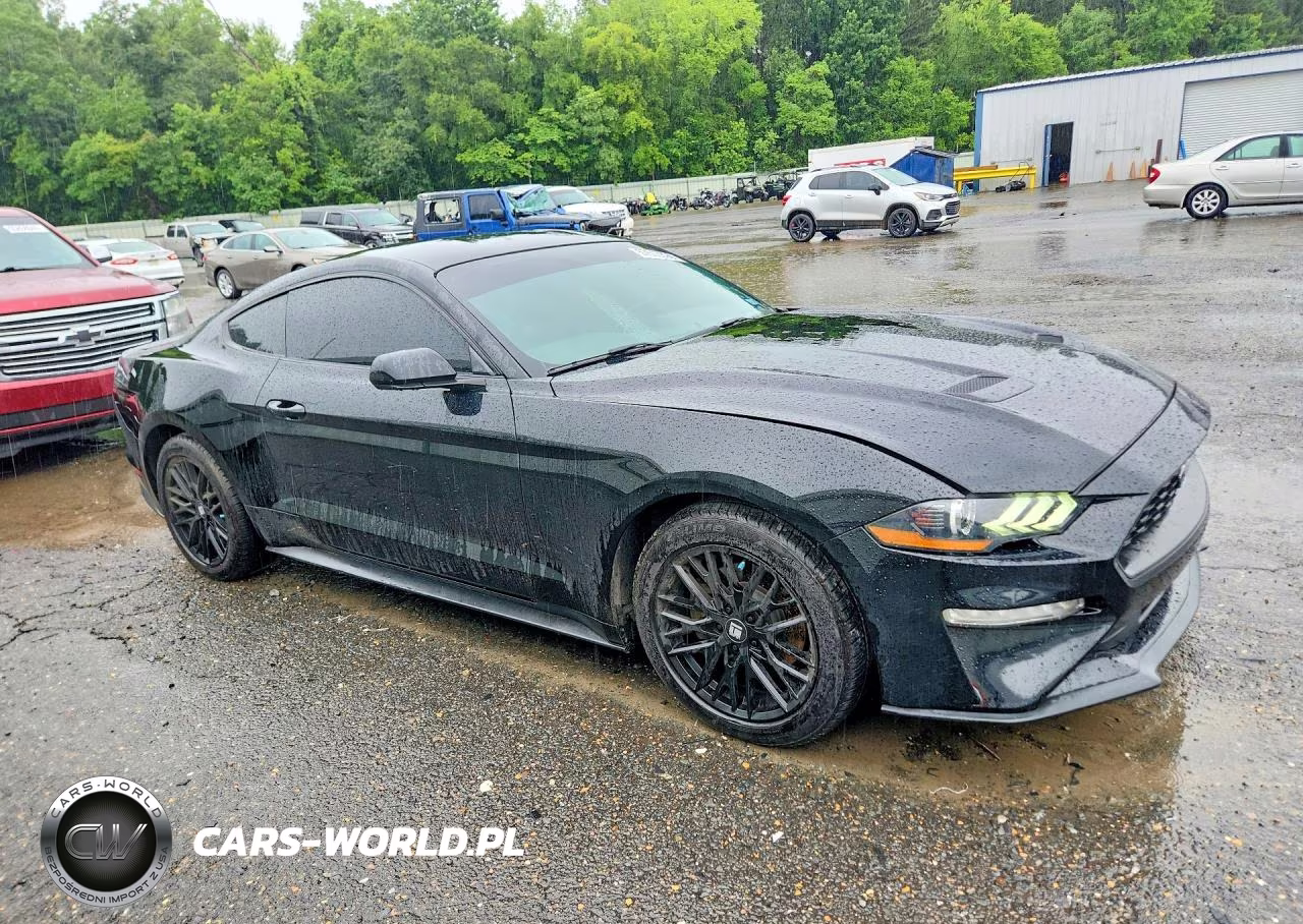2019 Ford Mustang VIN:1FA6P8TH5K5117882 - 4