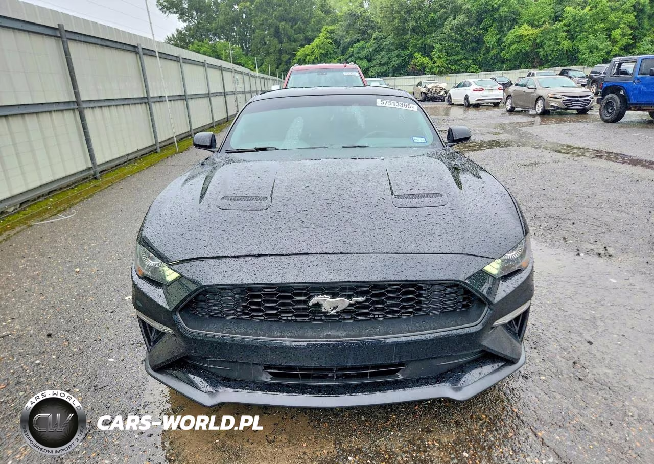 2019 Ford Mustang VIN:1FA6P8TH5K5117882 - 5