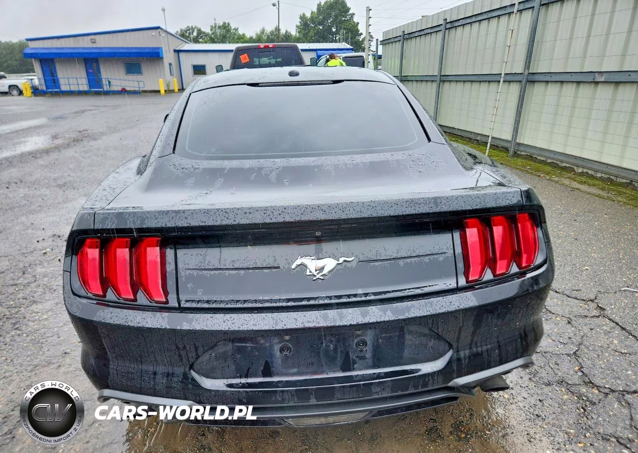 2019 Ford Mustang VIN:1FA6P8TH5K5117882 - 6
