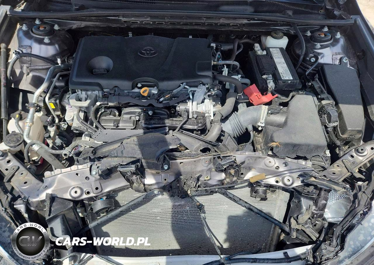 2019 Toyota Camry Se VIN:4T1B11HK8KU229566 - 11