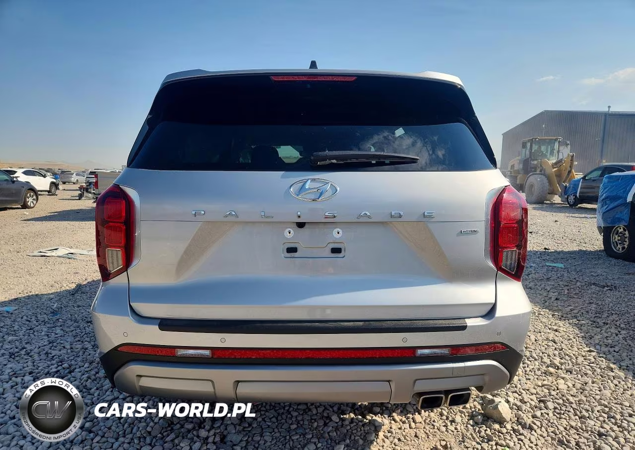 2023 Hyundai Palisade Limited VIN:KM8R5DGE3PU565729 - 6