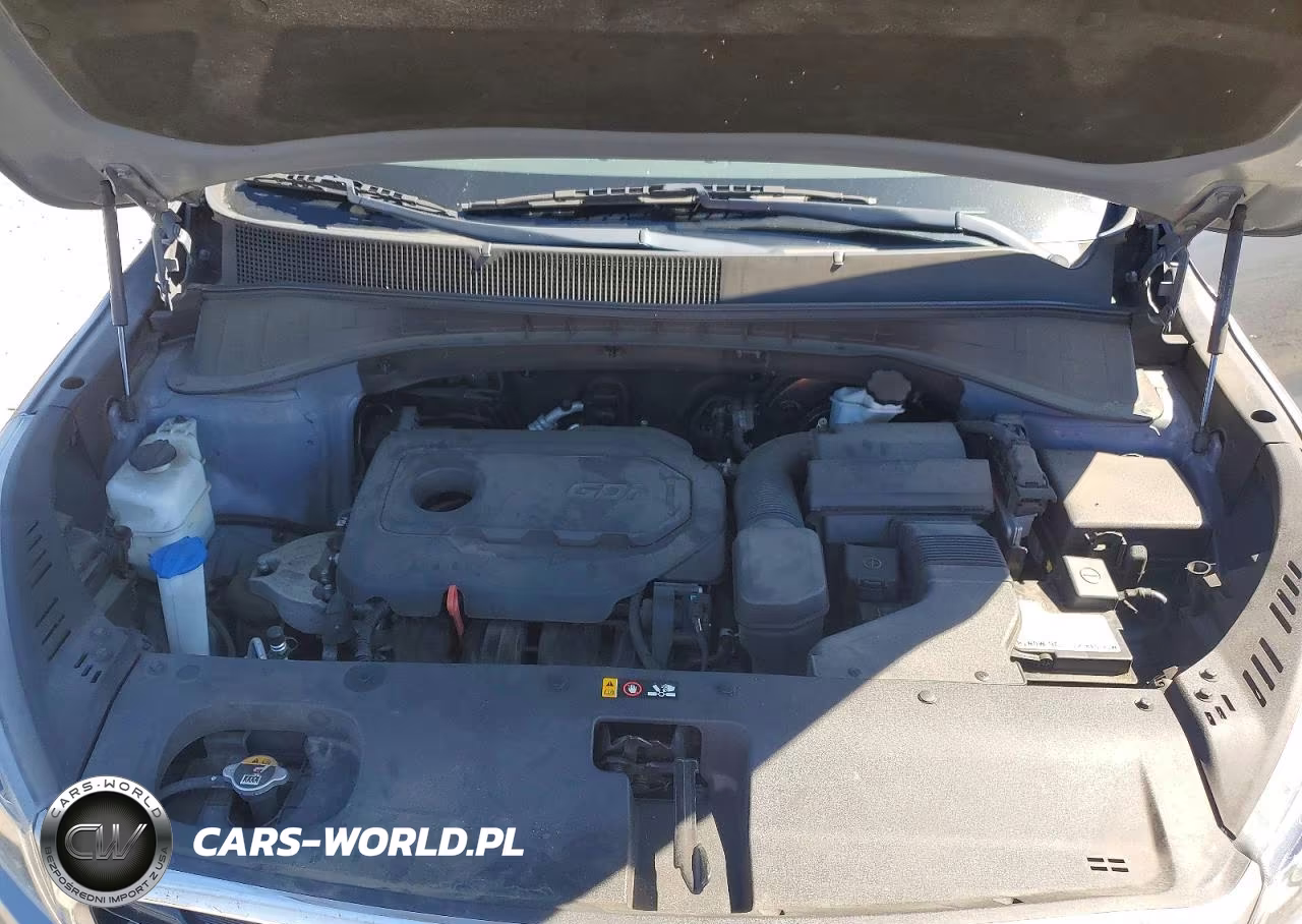 2019 Kia Sorento VIN:5XYPGDA30KG597223 - 12