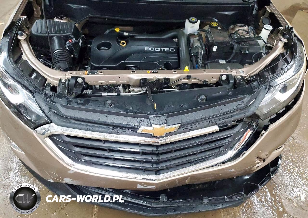 2019 Chevrolet Equinox Lt VIN:2GNAXKEV6K6202987 - 12