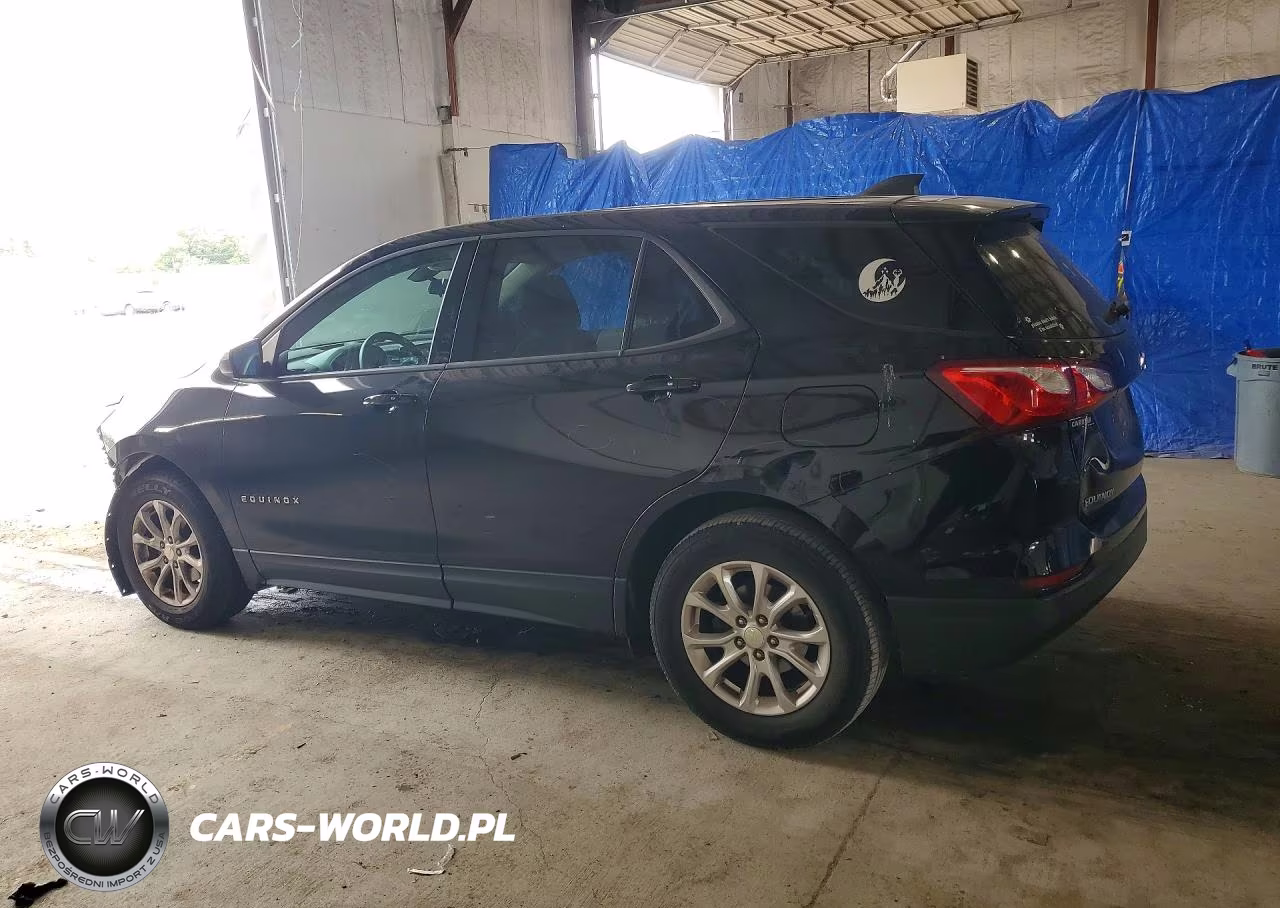 2019 Chevrolet Equinox Ls VIN:3GNAXHEV4KL332636 - 2