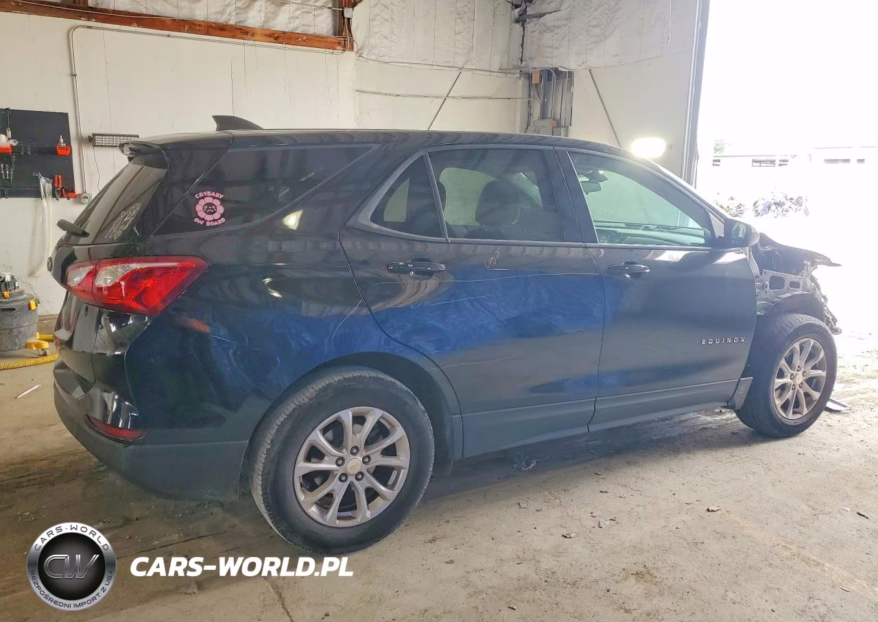 2019 Chevrolet Equinox Ls VIN:3GNAXHEV4KL332636 - 3