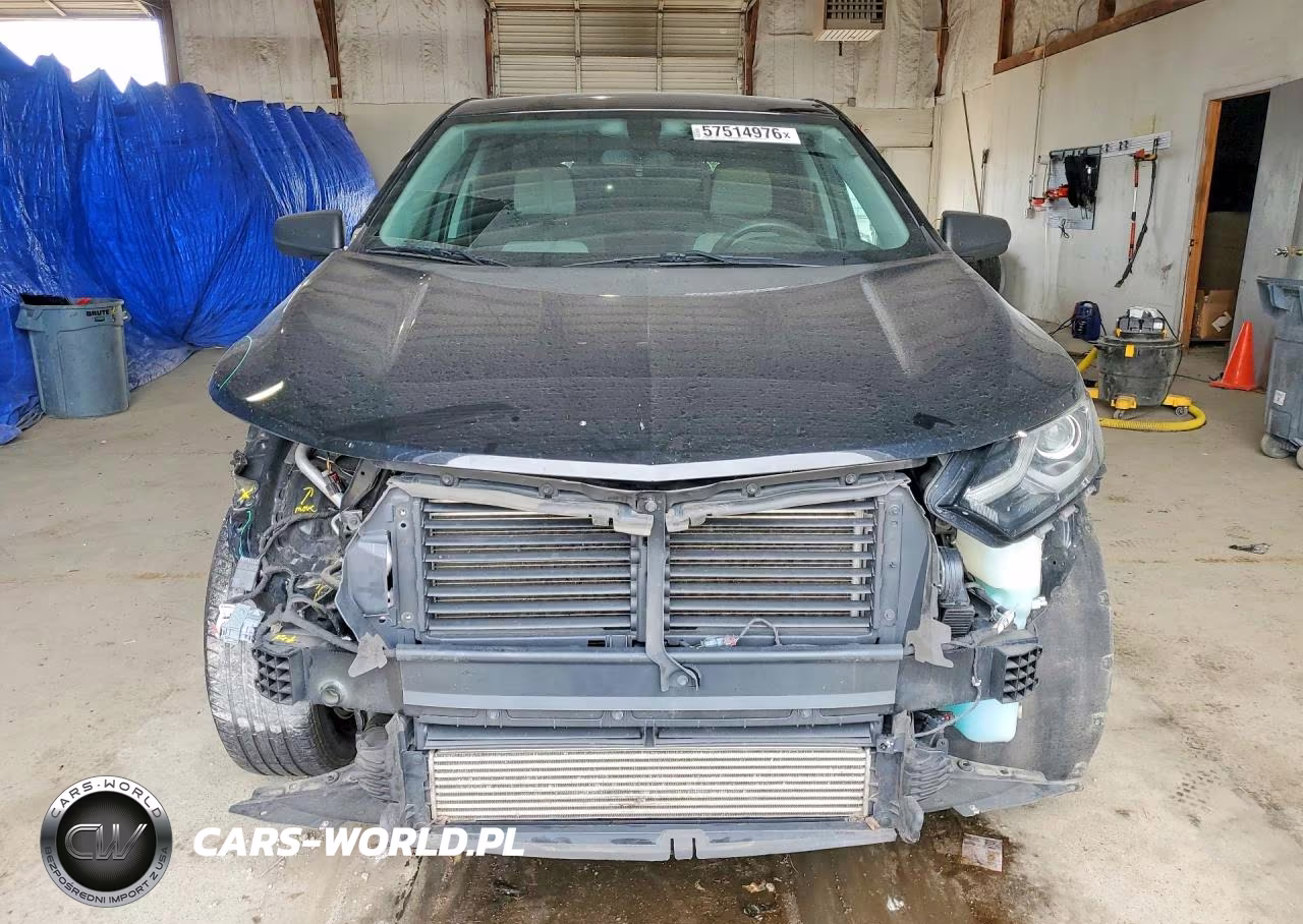 2019 Chevrolet Equinox Ls VIN:3GNAXHEV4KL332636 - 5