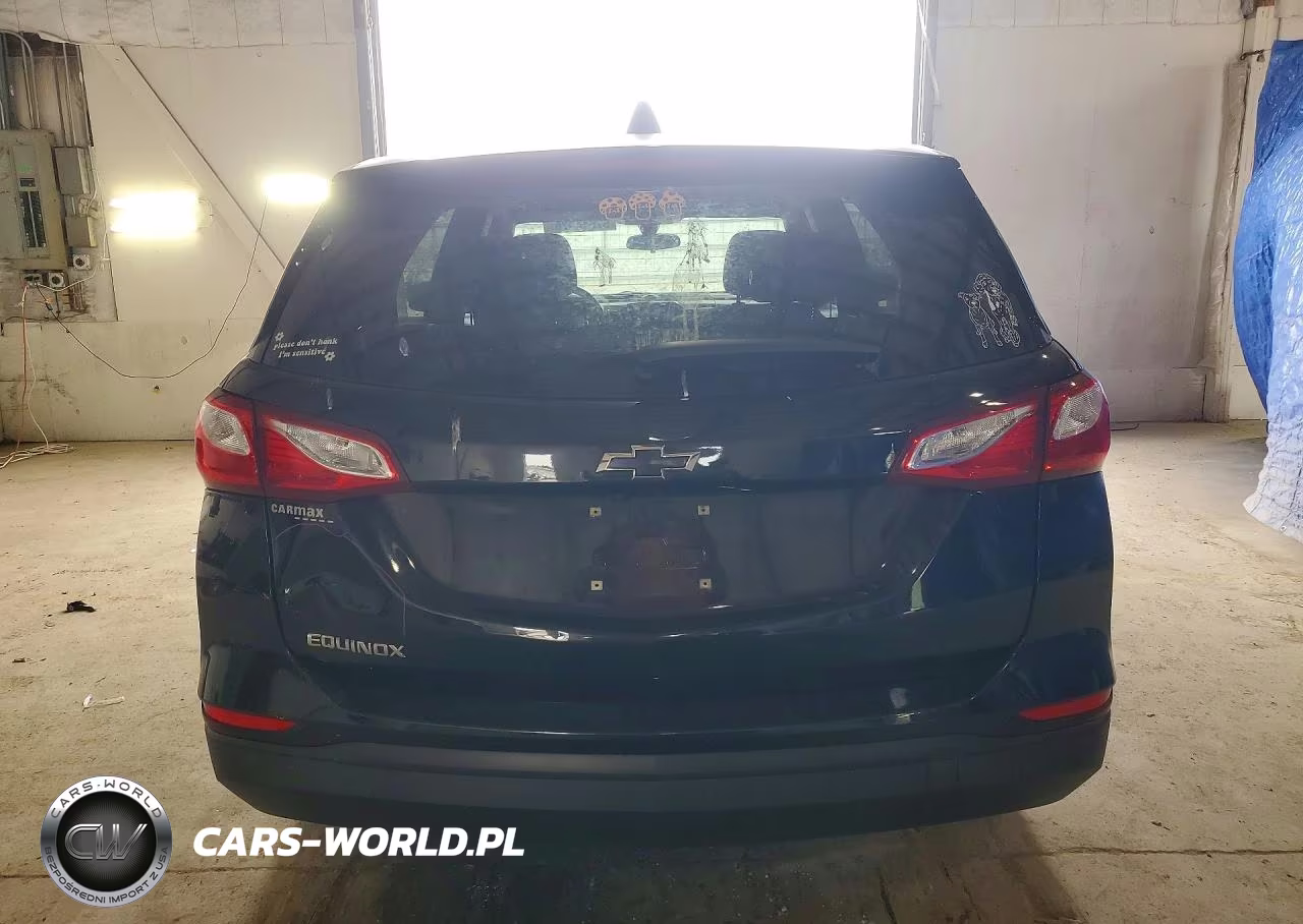 2019 Chevrolet Equinox Ls VIN:3GNAXHEV4KL332636 - 6