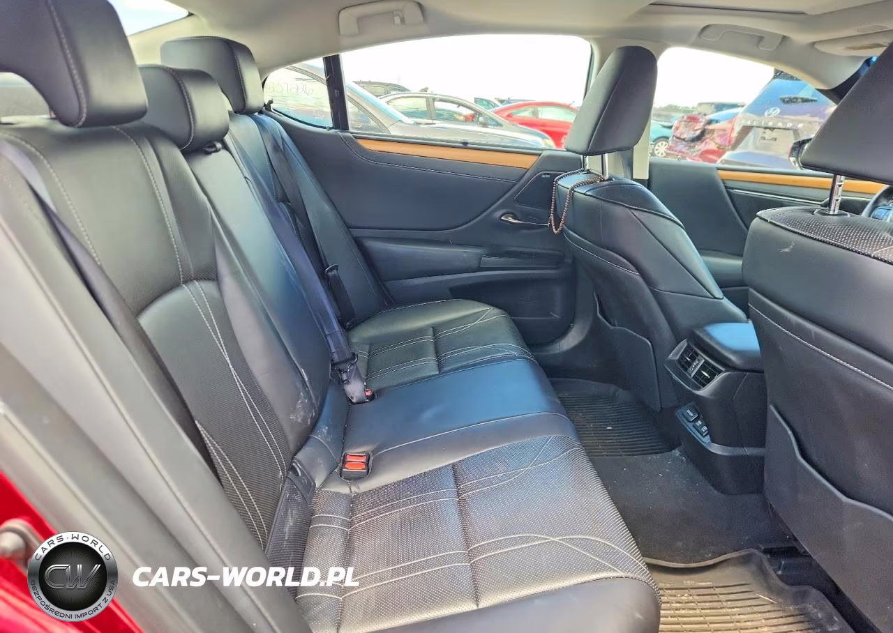 2019 Lexus Es 300H VIN:JTHB21B19K2038119 - 10