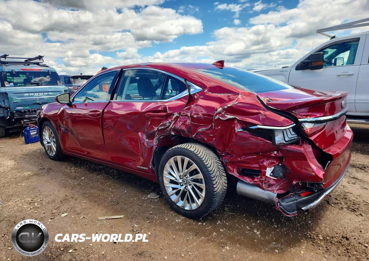 2019 Lexus Es 300H VIN:JTHB21B19K2038119 - 2