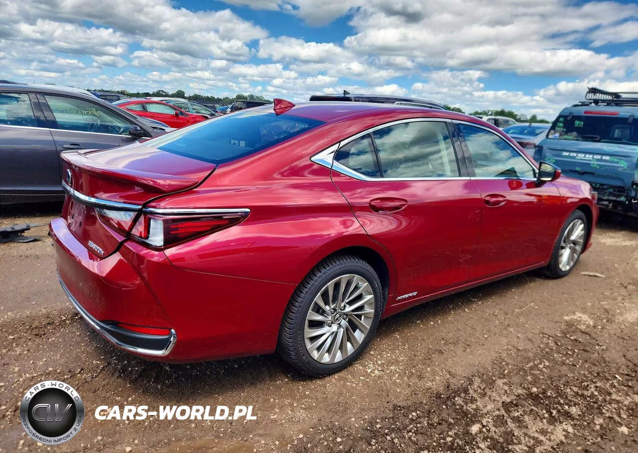 2019 Lexus Es 300H VIN:JTHB21B19K2038119 - 3