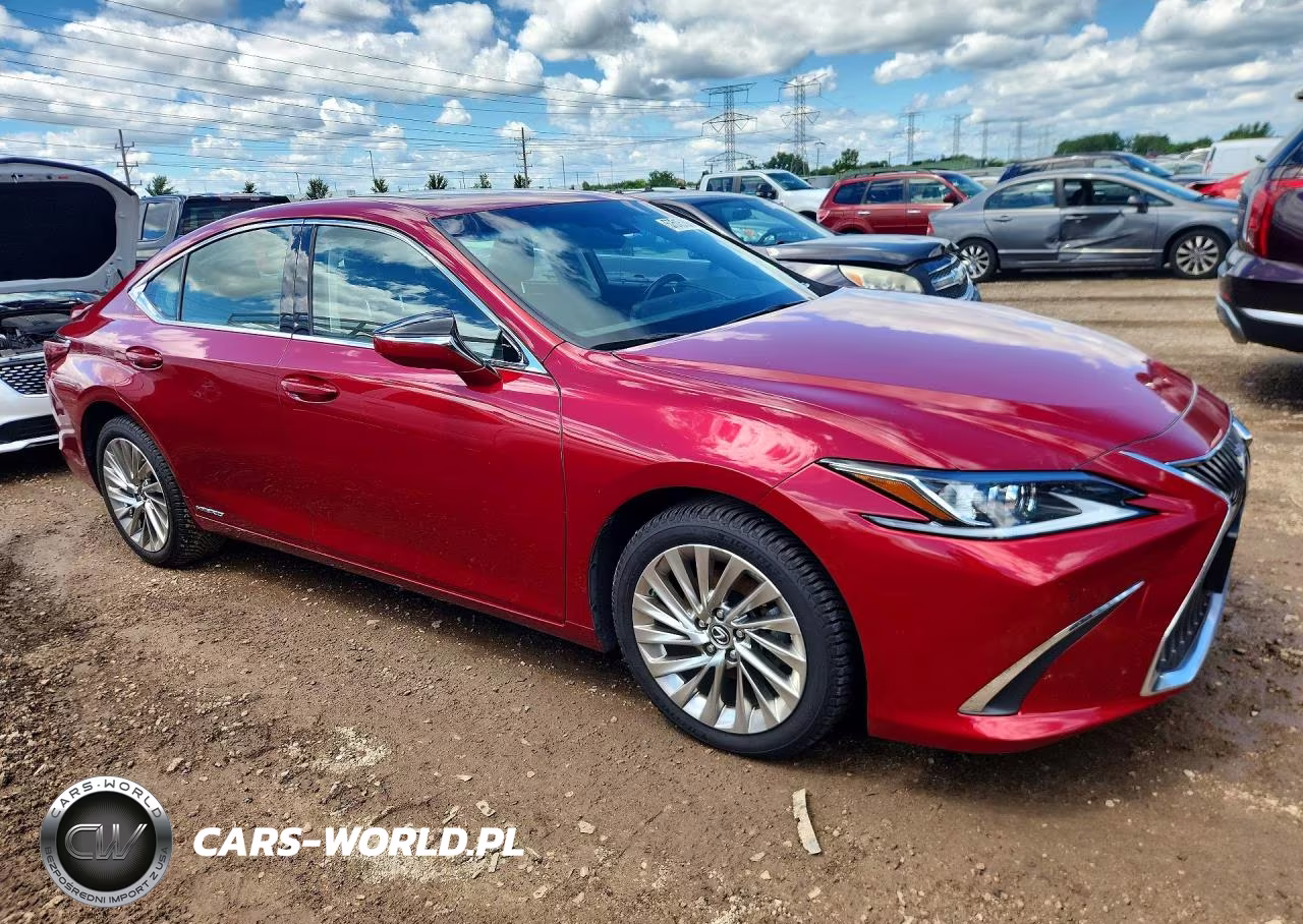 2019 Lexus Es 300H VIN:JTHB21B19K2038119 - 4