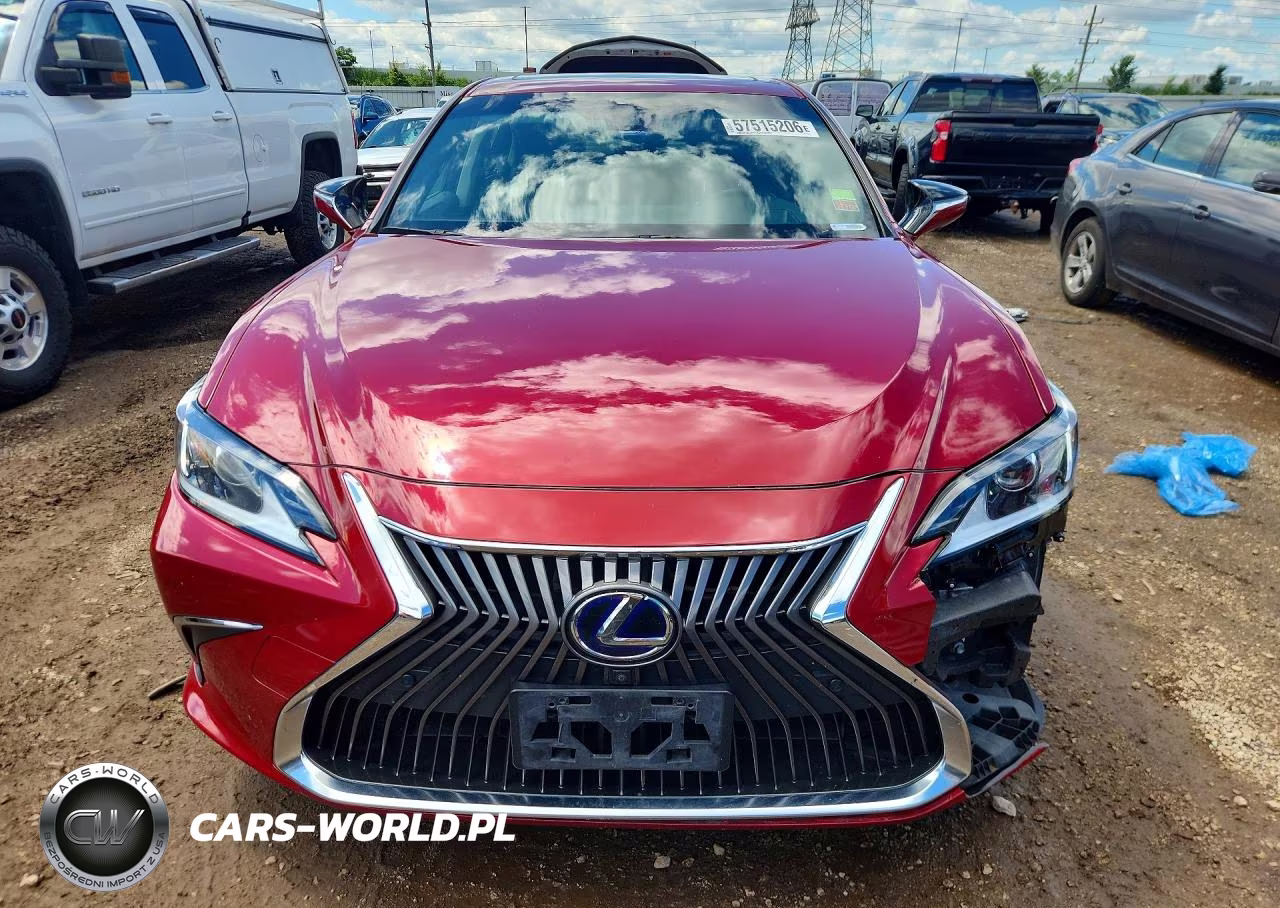 2019 Lexus Es 300H VIN:JTHB21B19K2038119 - 5