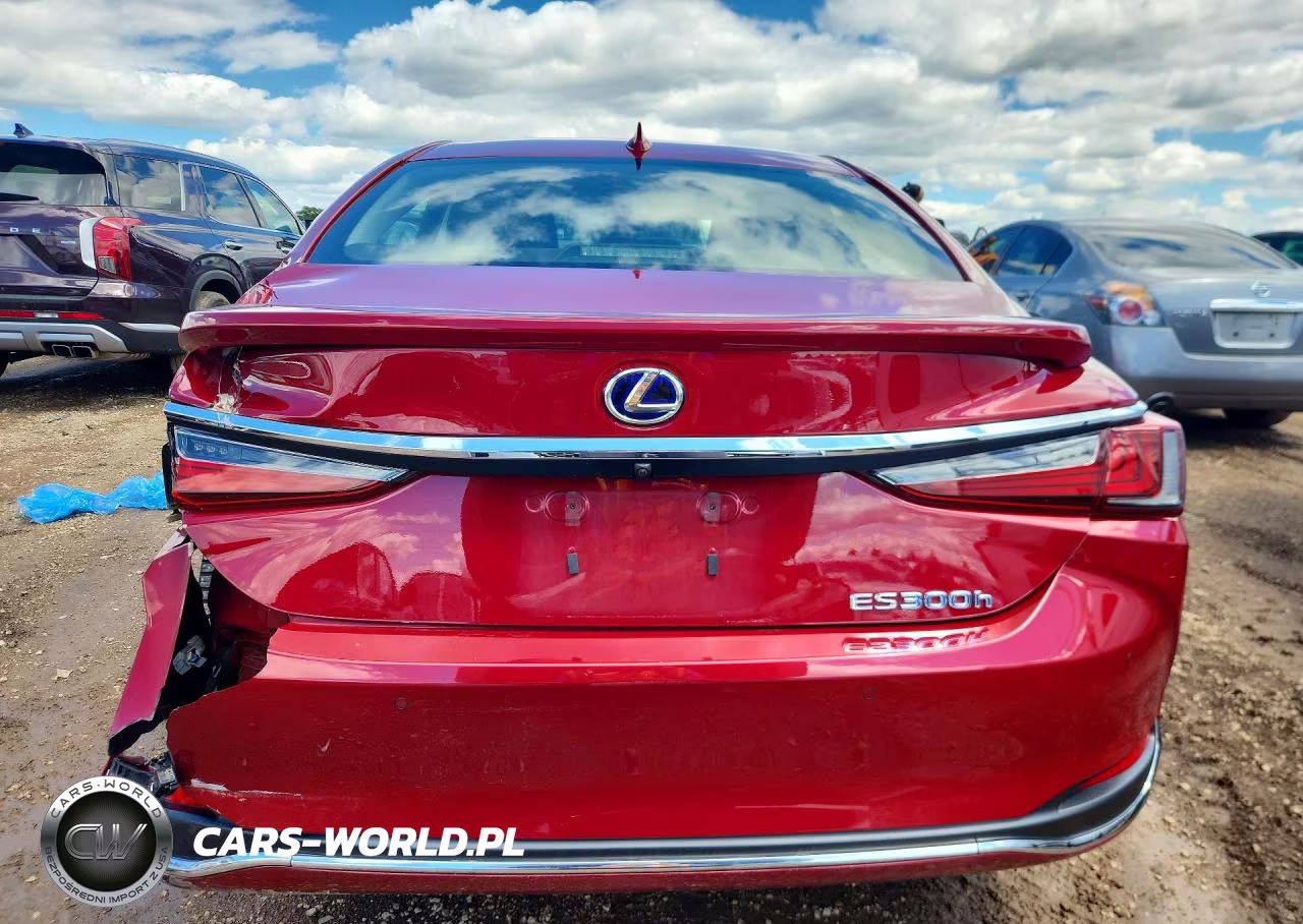 2019 Lexus Es 300H VIN:JTHB21B19K2038119 - 6