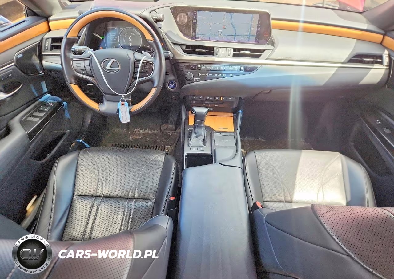 2019 Lexus Es 300H VIN:JTHB21B19K2038119 - 8