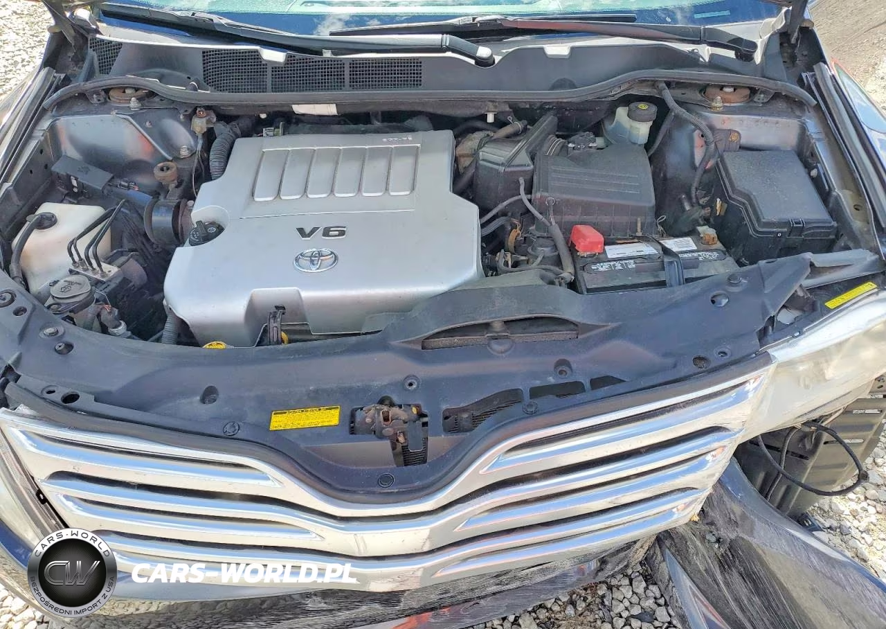 2010 Toyota Venza Awd V6 VIN:4T3BK3BB8AU026832 - 12