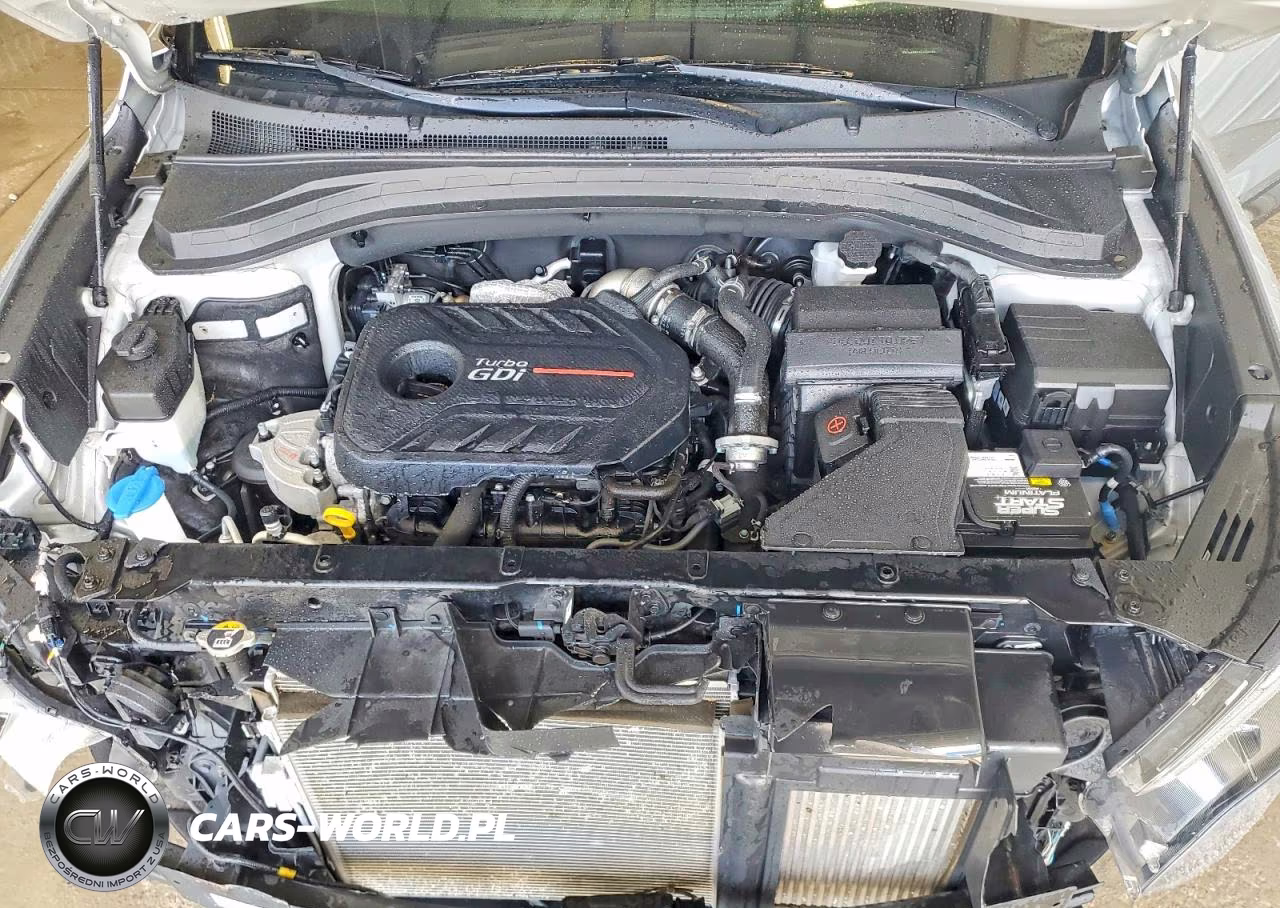2020 Hyundai Santa Fe Limited 2.0T VIN:5NMS5CAA3LH287194 - 12