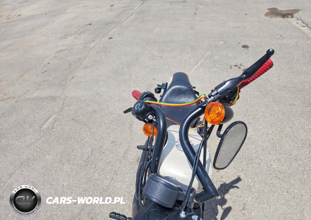 2022 Harley-Davidson Xl883 N VIN:1HD4LE217NB401986 - 5