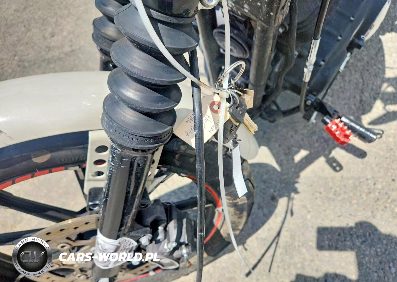 2022 Harley-Davidson Xl883 N VIN:1HD4LE217NB401986 - 8