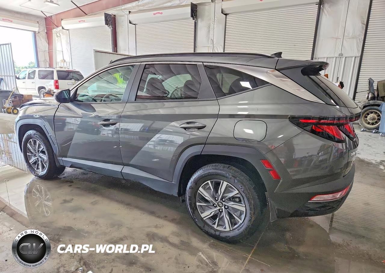 2024 Hyundai Tucson Blue VIN:KM8JBCD17RU223477 - 2