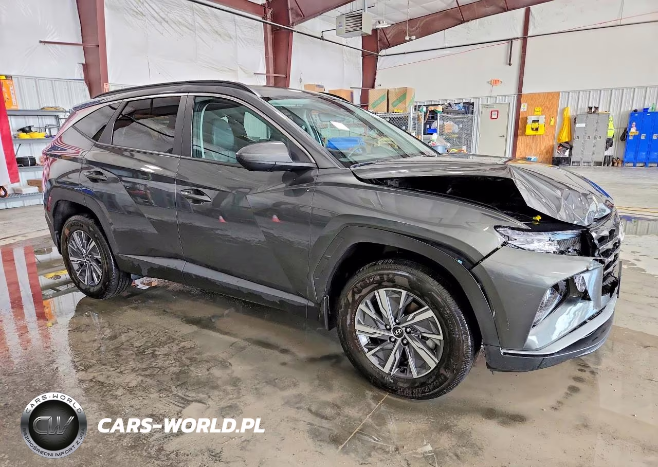2024 Hyundai Tucson Blue VIN:KM8JBCD17RU223477 - 4