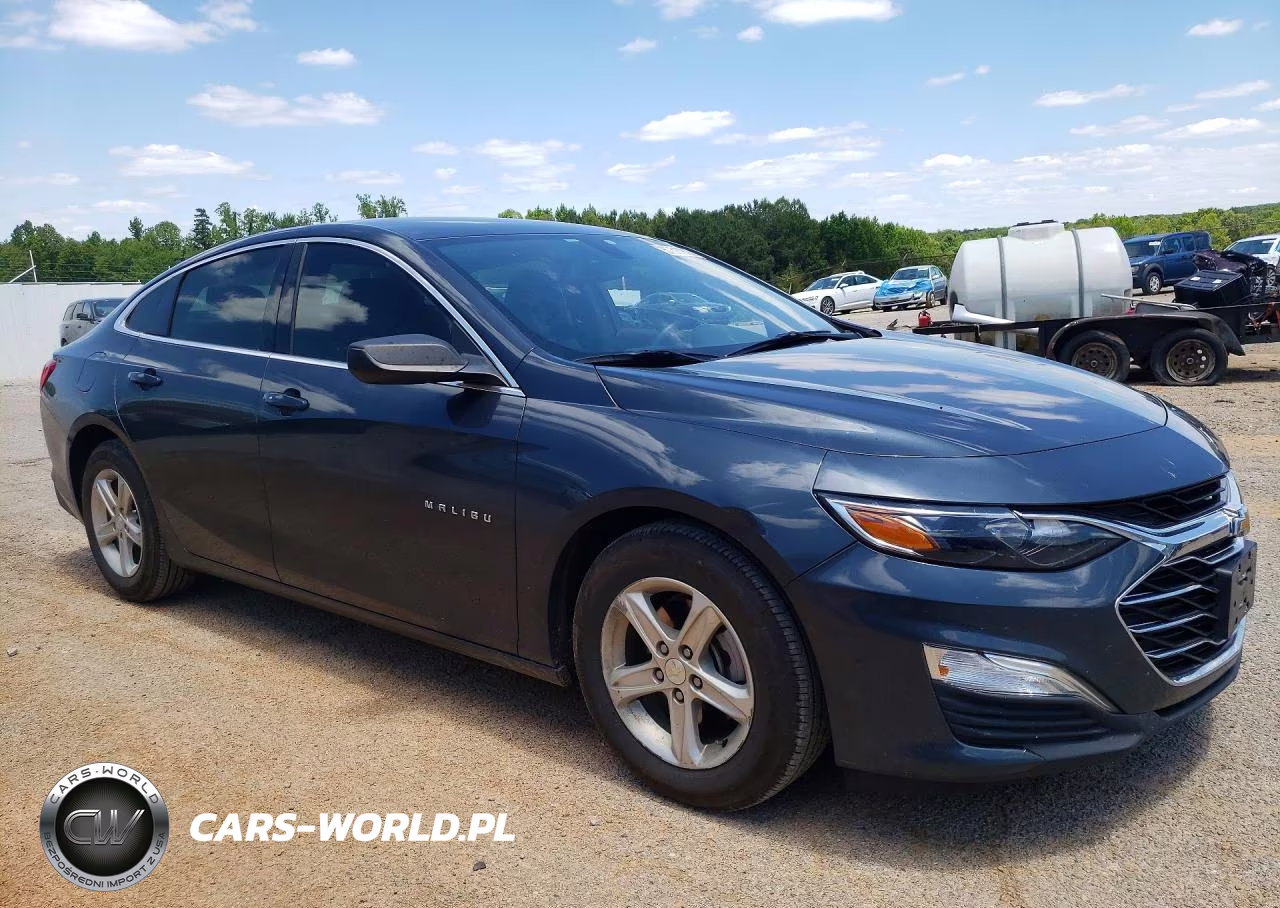 2019 Chevrolet Malibu Ls VIN:1G1ZB5ST3KF194408 - 4