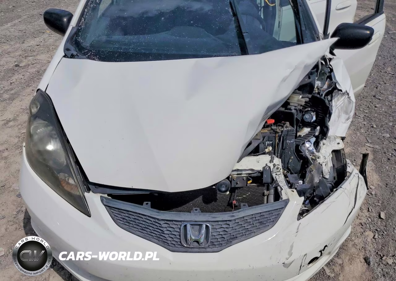 2010 Honda Fit VIN:JHMGE8G29AS000041 - 12