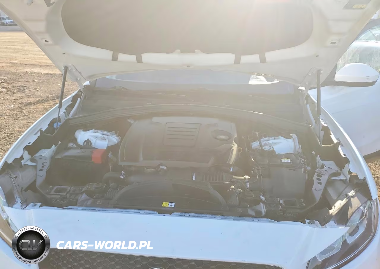 2018 Jaguar F-Pace Premium VIN:SADCJ2FX3JA248835 - 12