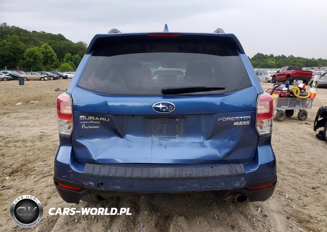 2017 Subaru Forester 2.5I Touring VIN:JF2SJATC9HH407847 - 6