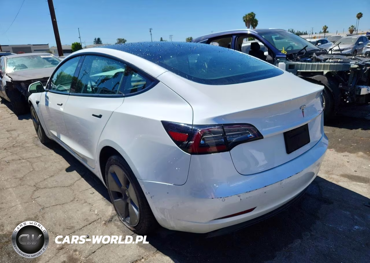 2022 Tesla Model 3 VIN:5YJ3E1EA0NF166369 - 2