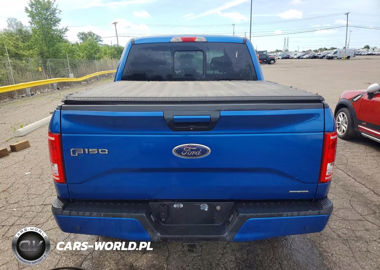 2015 Ford F150 Supercrew VIN:1FTEW1EF9FFA52675 - 6