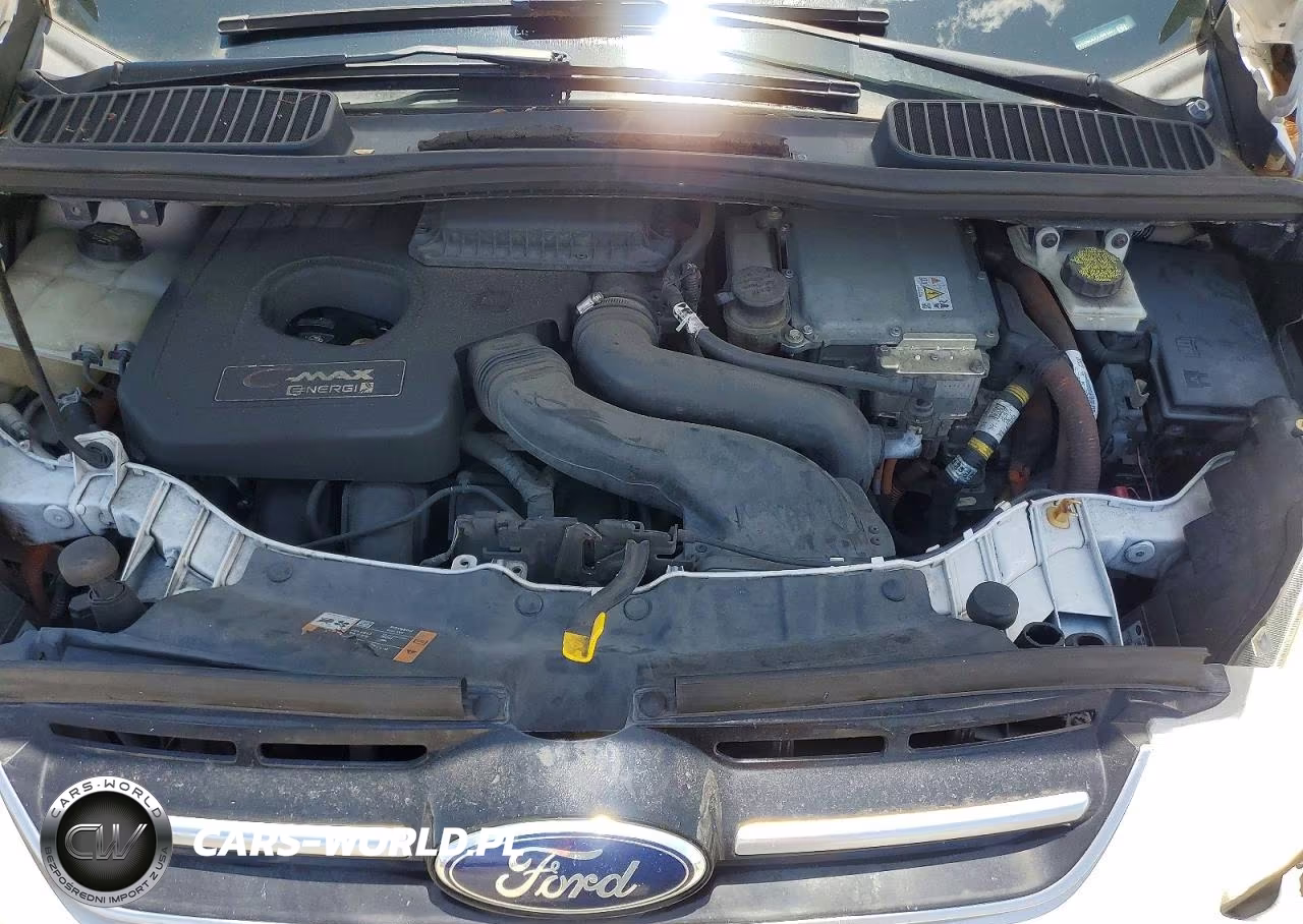 2015 Ford C-Max Premium Sel VIN:1FADP5CU2FL108187 - 11