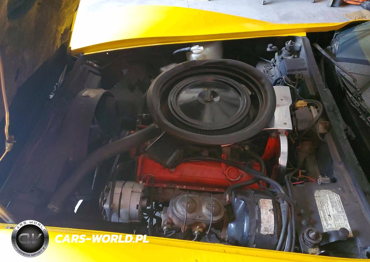 1973 Chev Corvette VIN:1Z37J3S413935 - 11