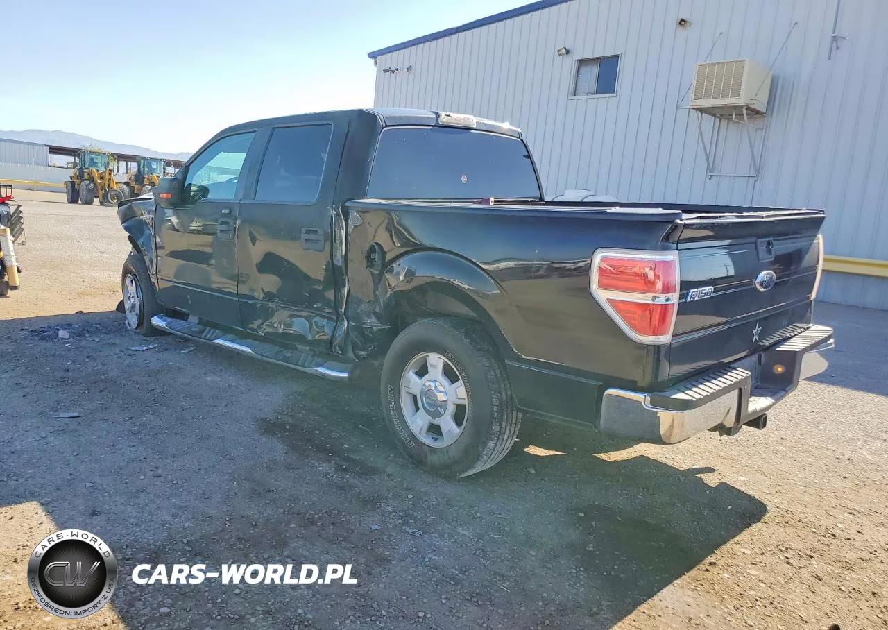 2010 Ford F150 Supercrew VIN:1FTEW1C89AFA93207 - 2