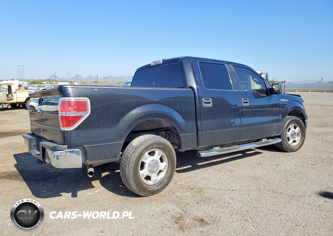 2010 Ford F150 Supercrew VIN:1FTEW1C89AFA93207 - 3
