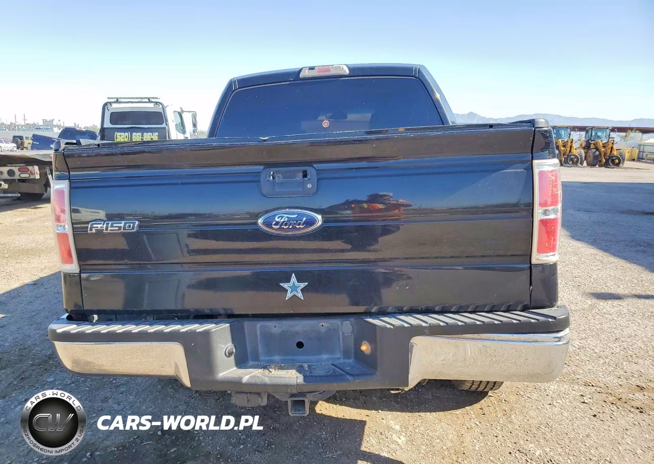 2010 Ford F150 Supercrew VIN:1FTEW1C89AFA93207 - 6