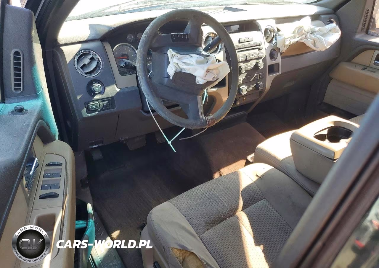 2010 Ford F150 Supercrew VIN:1FTEW1C89AFA93207 - 8