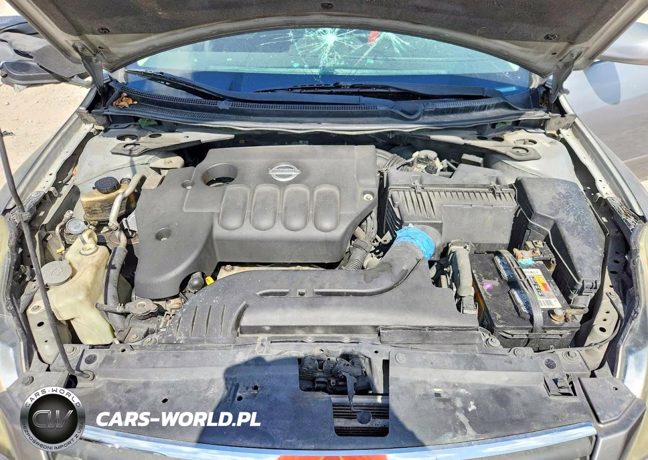 2009 Nissan Altima 2.5 VIN:1N4AL21E49N481412 - 11