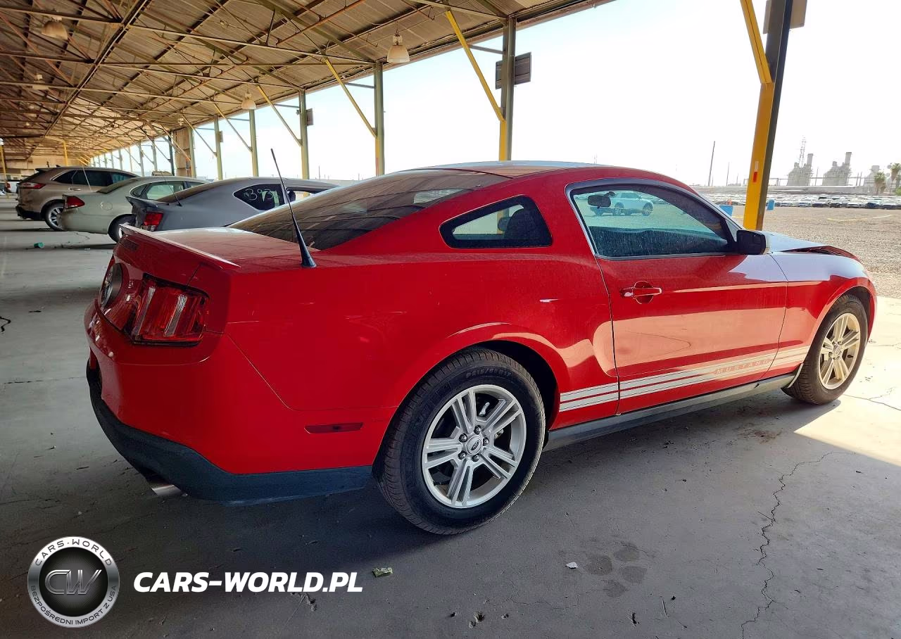 2011 Ford Mustang VIN:1ZVBP8AM6B5163260 - 3