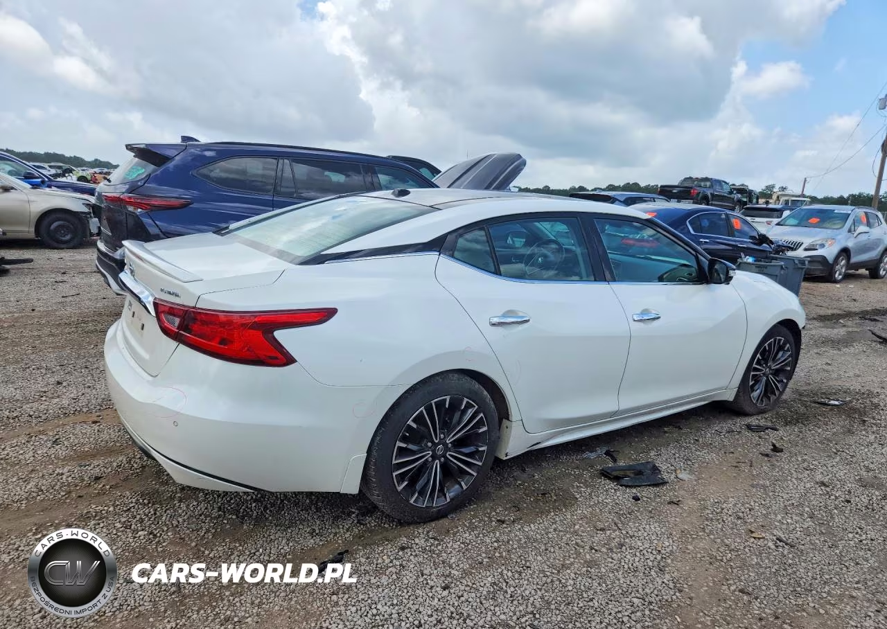 2016 Nissan Maxima Platinum VIN:1N4AA6AP2GC424942 - 3