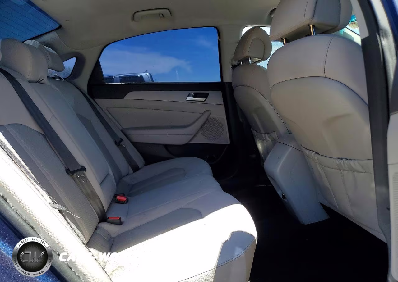 2015 Hyundai Sonata Eco VIN:5NPE24AA5FH198441 - 10